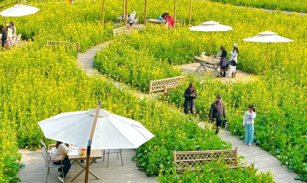 有機農場 + 文旅：解鎖鄉(xiāng)村新玩法