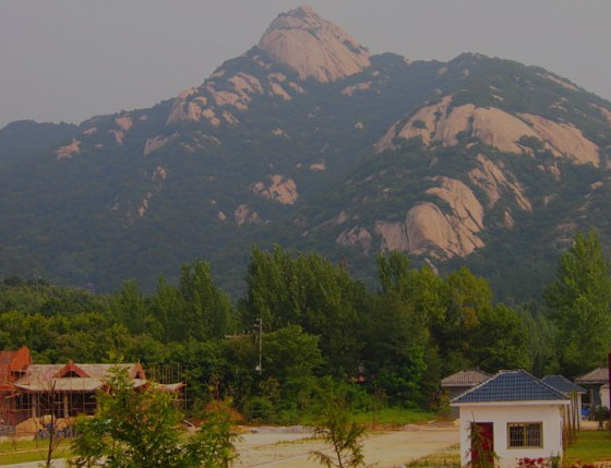 易景通景區(qū)解決方案 