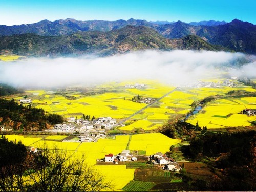 做景區(qū)不賺錢，問題究竟出在哪？