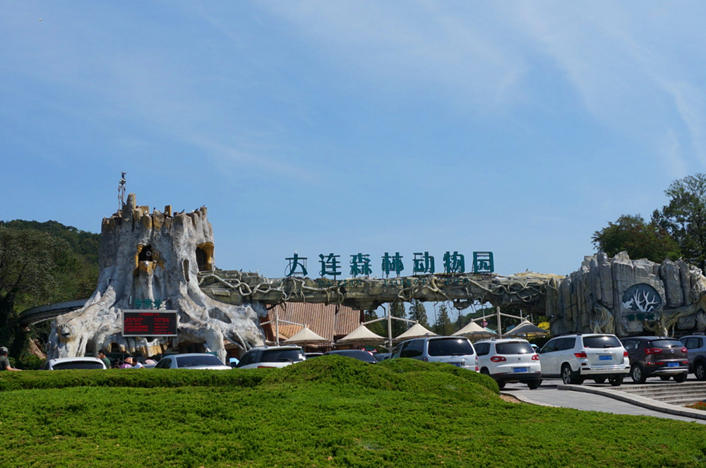 動(dòng)物園顛覆傳統(tǒng)檢票流程