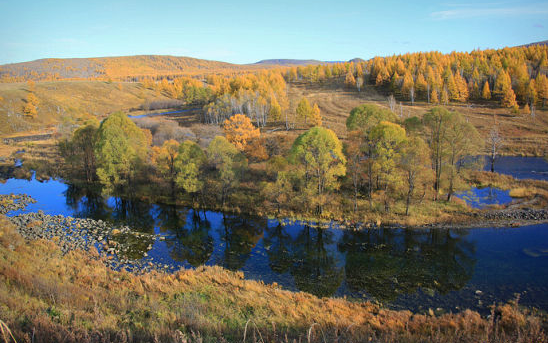 20190815508672.png 04.png