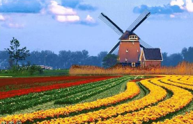 景點售票管理系統(tǒng)上線平江大風(fēng)車樂園