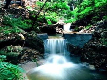 易景通助力生態(tài)園票務(wù)建設(shè)