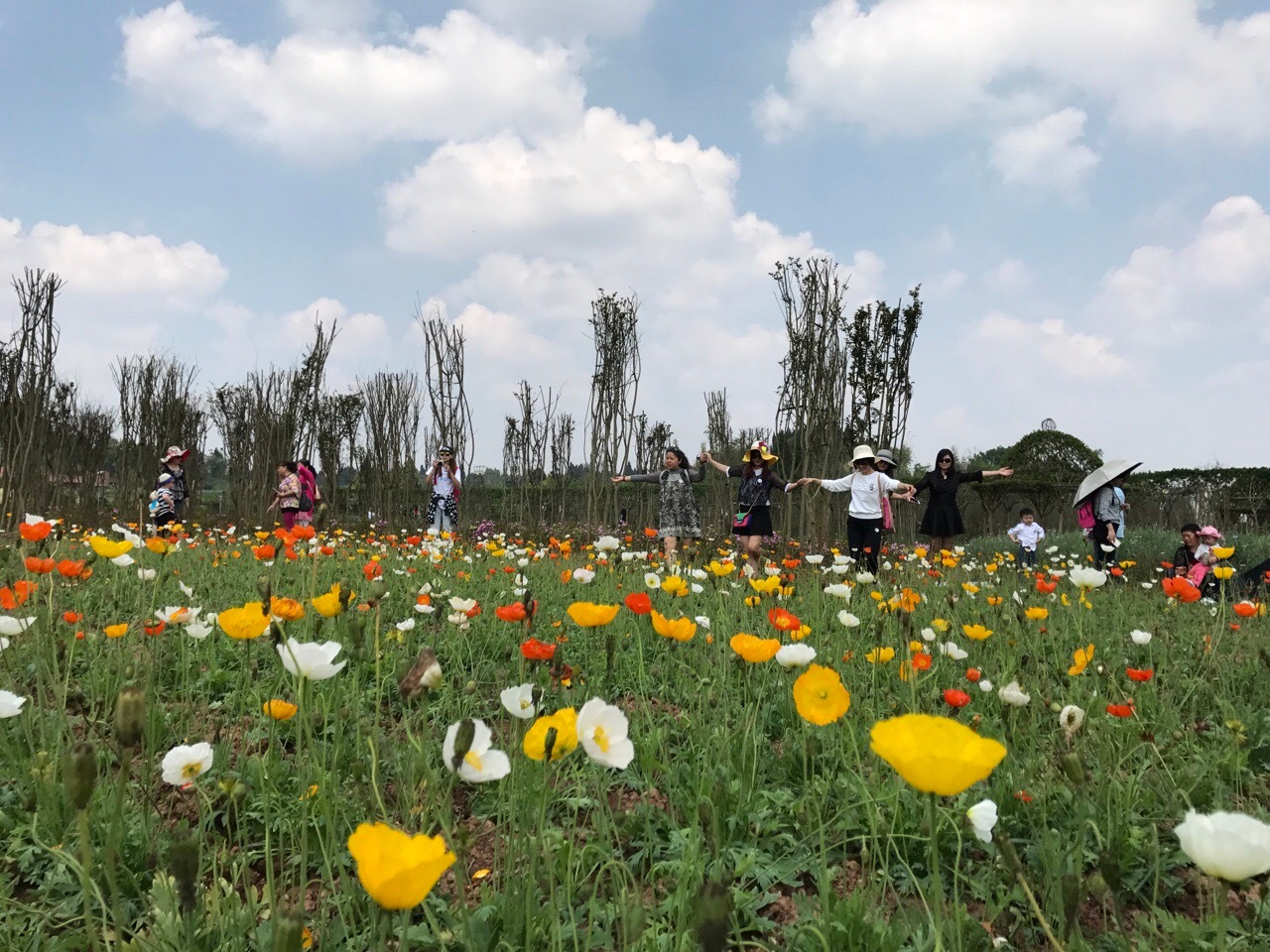 又有景區(qū)倒閉了踩了什么坑，景區(qū)票務(wù)系統(tǒng)可以解決哪些？ 
