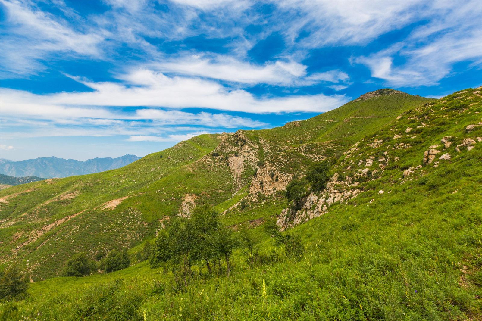 門票預(yù)約小程序都有哪些？真的好用嗎？
