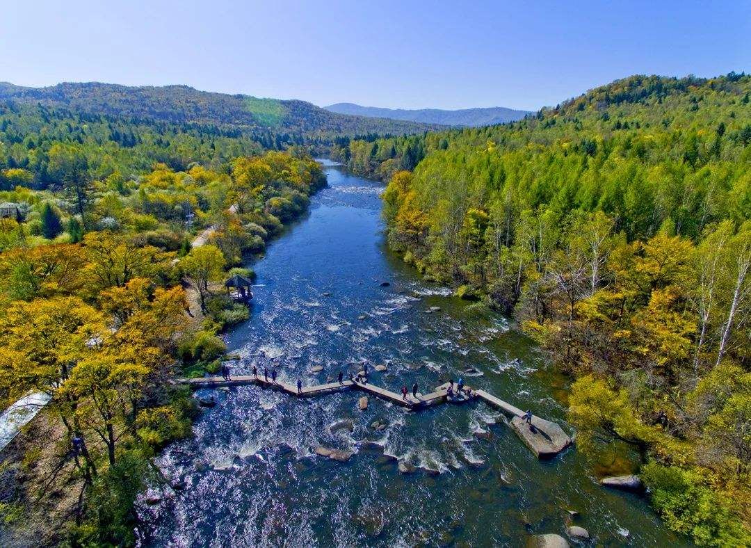 票務(wù)系統(tǒng)下載，不會后悔的選擇