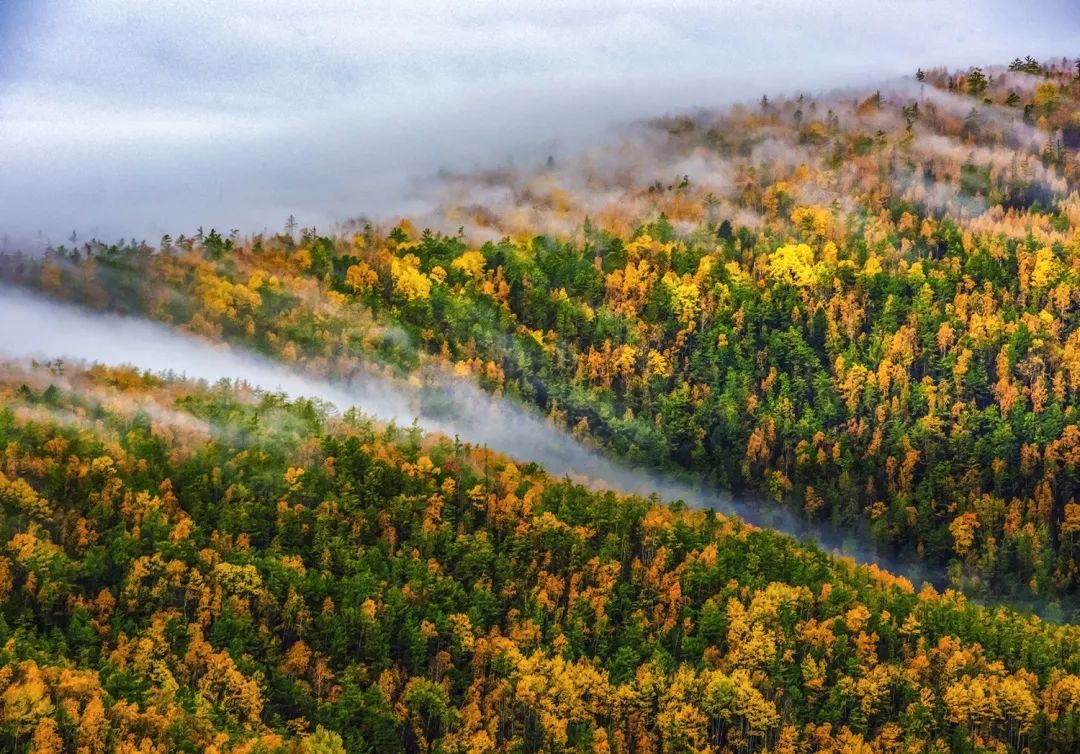 電子門票系統(tǒng)下載如何開展電子門票的相關事宜？在線客戶