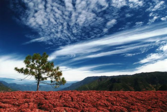 旅游景區(qū)售票系統(tǒng)接入美團(tuán)的意義是什么？實(shí)現(xiàn)線上一體化