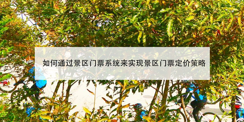 如何通過景區(qū)門票系統(tǒng)來實(shí)現(xiàn)景區(qū)門票定價(jià)策略