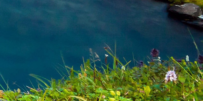 旅游業(yè)的管理離不開景區(qū)電子票務系統(tǒng)