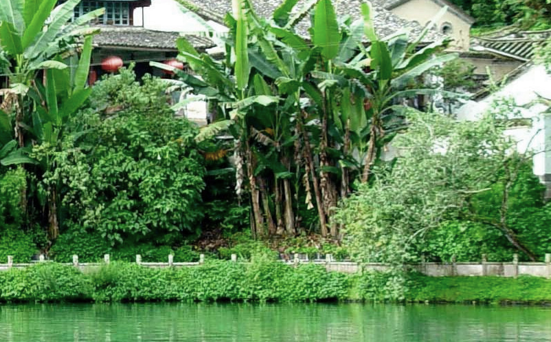 鄉(xiāng)村民宿景區(qū)宣傳策略營銷存在問題