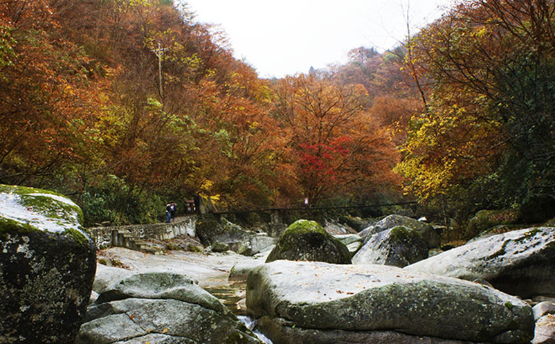 景區(qū)營(yíng)銷(xiāo)主體應(yīng)該多元化