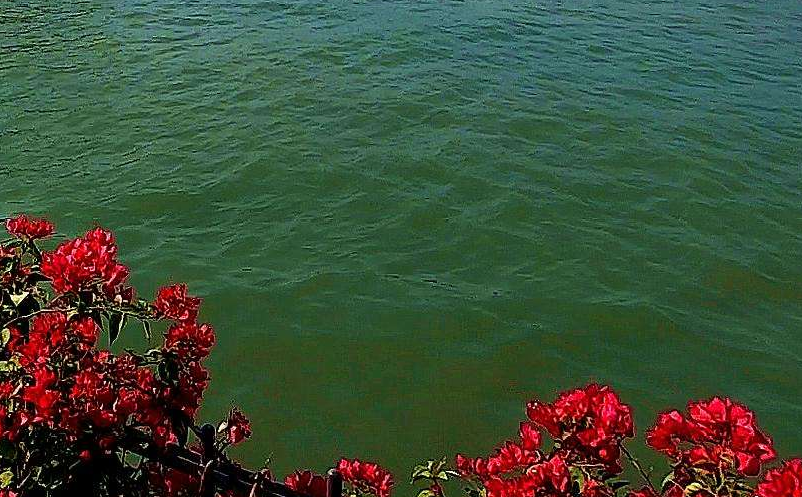 “景區(qū)＋劇本殺”或成景區(qū)發(fā)展的下一個風口