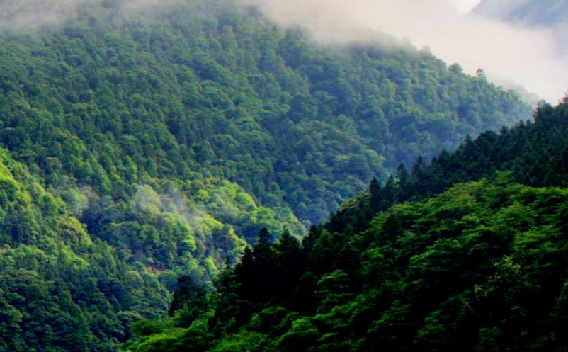 通過抖音對景區(qū)營銷推廣