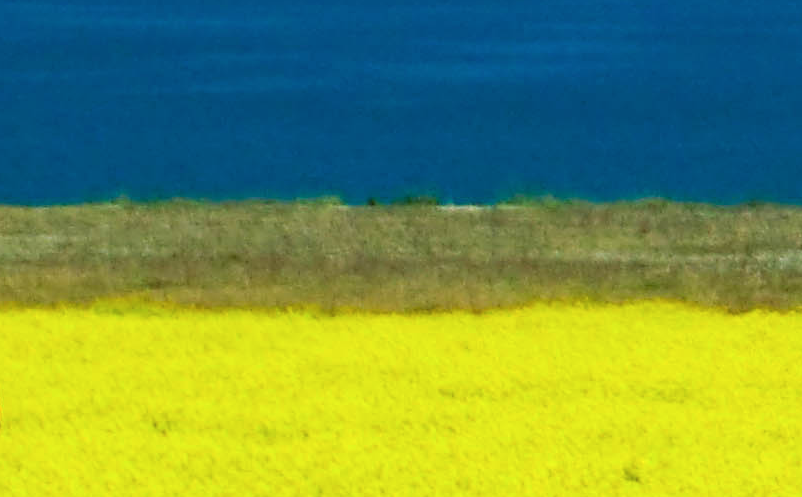 青海湖景區(qū)的淡季營(yíng)銷策略