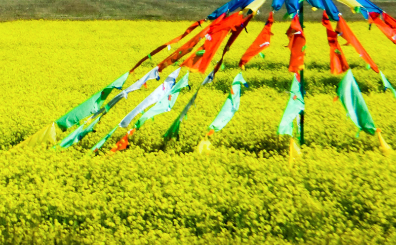 青海湖景區(qū)的淡季營(yíng)銷策略