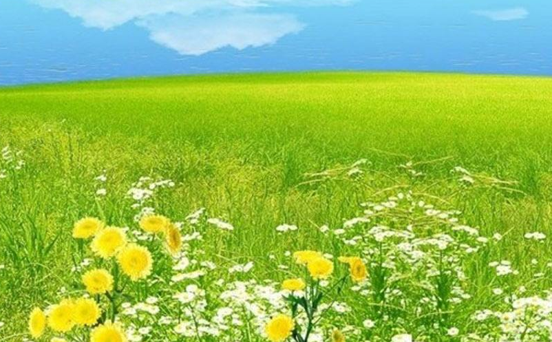 景區(qū)自媒體營(yíng)銷(xiāo)存在的問(wèn)題