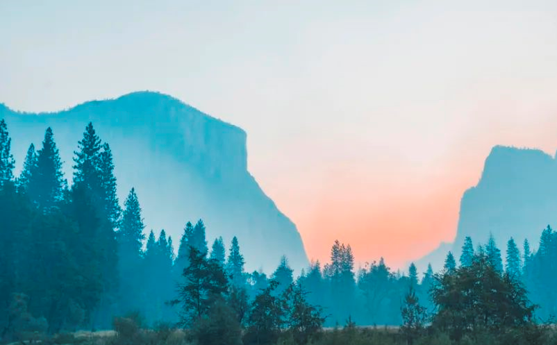 1641273795912543.png image.png