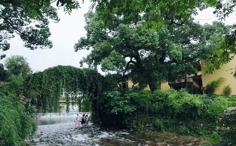 網(wǎng)紅鄉(xiāng)村旅游景點如何打造