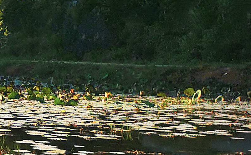 景區(qū)自媒體營銷應(yīng)根據(jù)自媒體特點和景區(qū)特色選擇恰當(dāng)?shù)臓I銷手段