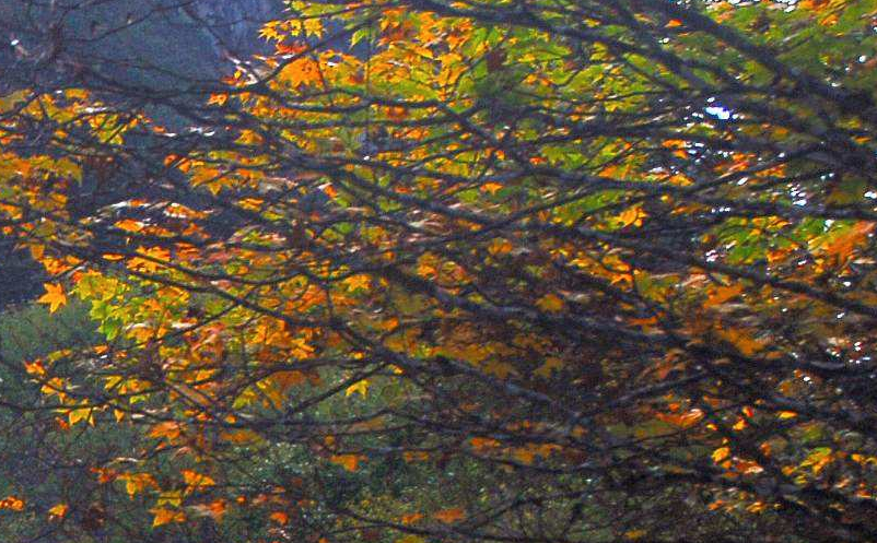 旅游景區(qū)微博營銷策略