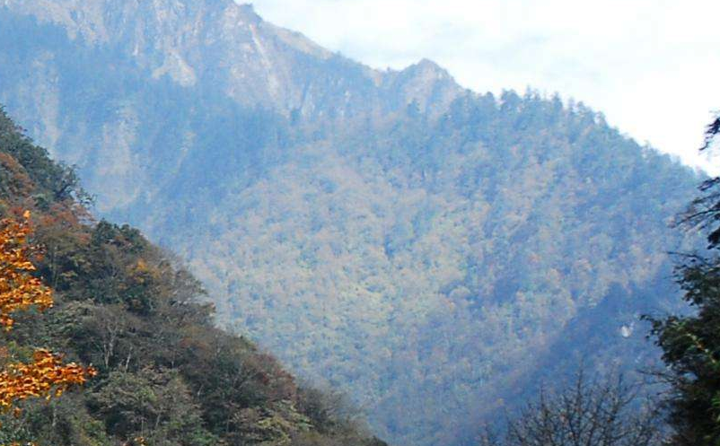 影視旅游目的地集合粉絲群體，助力景區(qū)精準(zhǔn)營銷