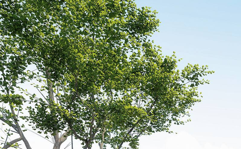 抖音等短視頻對旅游景區(qū)營銷的價(jià)值