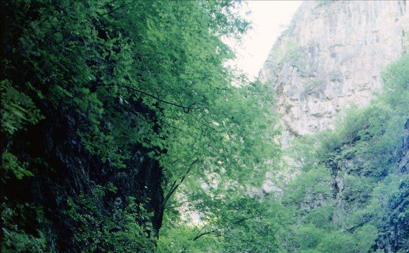 景區(qū)定價(jià)策略 景區(qū)定價(jià)策略