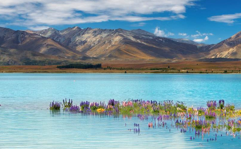 景區(qū)新型營銷模式