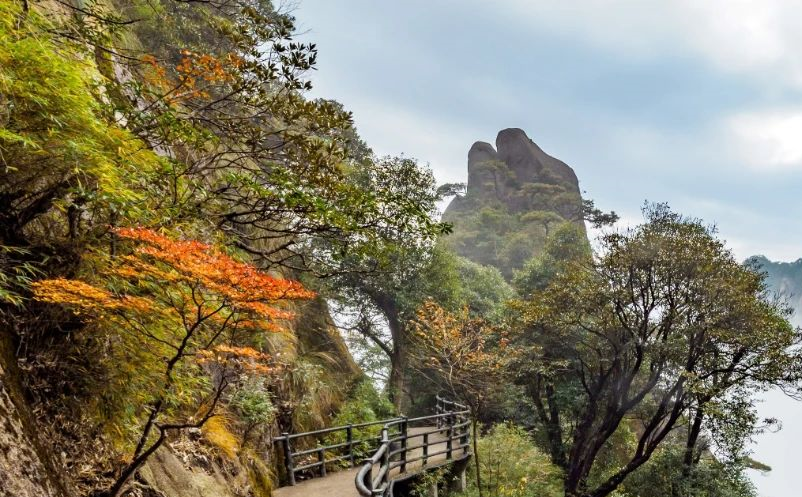 體驗(yàn)經(jīng)濟(jì)