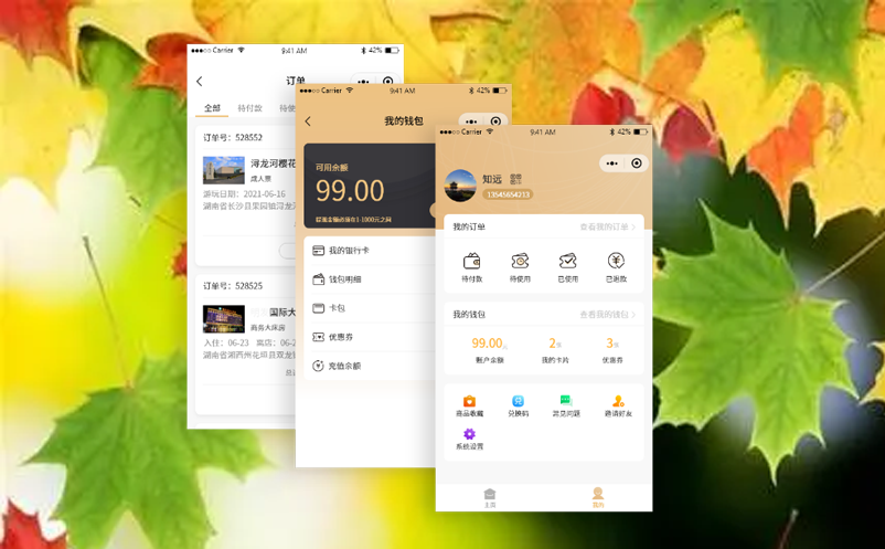 電子售檢票系統(tǒng)