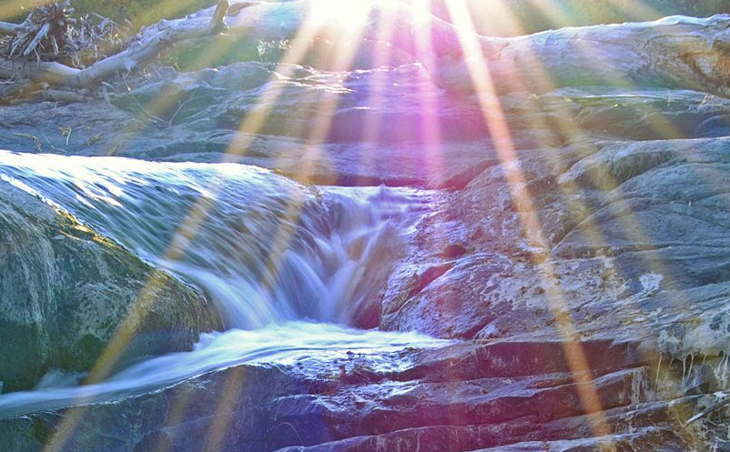 大學(xué)生旅游者成為旅游景區(qū)不可忽視的細(xì)分市場(chǎng)