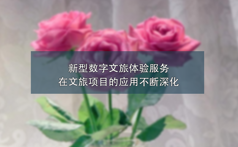 新型數(shù)字文旅體驗服務(wù)在文旅項目的應(yīng)用不斷深化