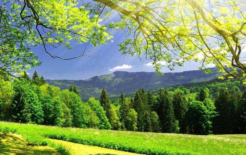 景區(qū)如何服務(wù)好本地游客，做好本地游客市場(chǎng)