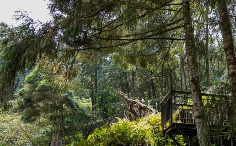 1648198927157546.png image.png