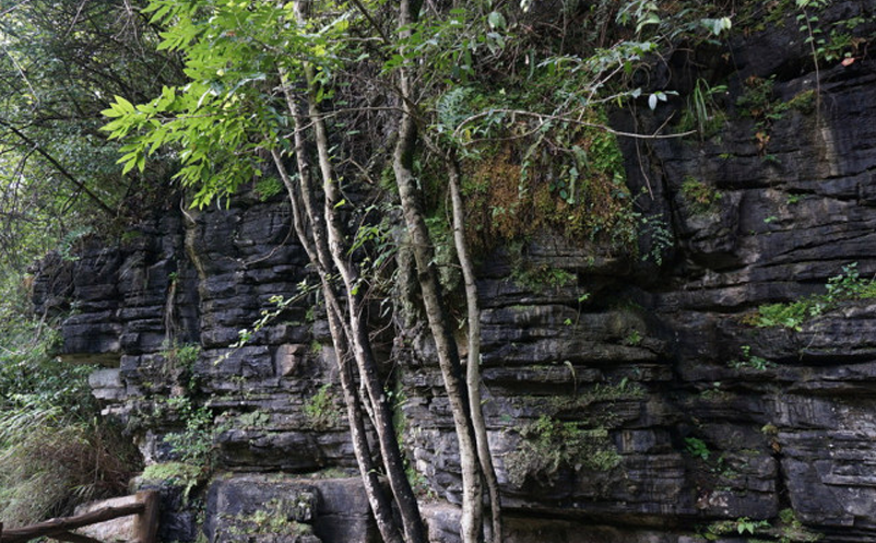 1648628213196122.png image.png