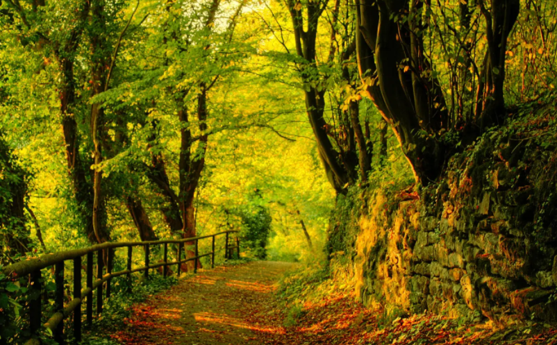 景區(qū)如何做疫情期間好公共衛(wèi)生和場所防控