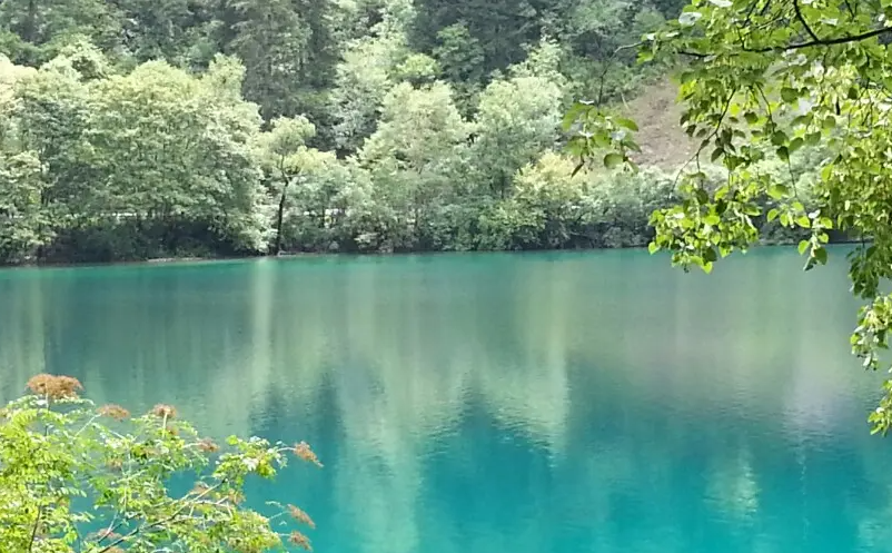 1650612588555919.png image.png