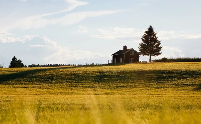 以城市化為中心的酒店轉(zhuǎn)型 