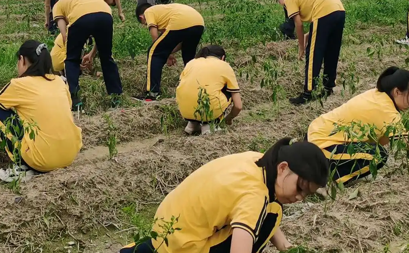 繼“雙減”政策后，如何創(chuàng)新研學(xué)旅游產(chǎn)品和服務(wù)