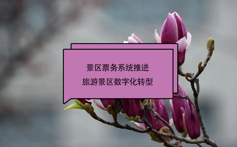 景區(qū)票務(wù)系統(tǒng)推進(jìn)旅游景區(qū)數(shù)字化轉(zhuǎn)型