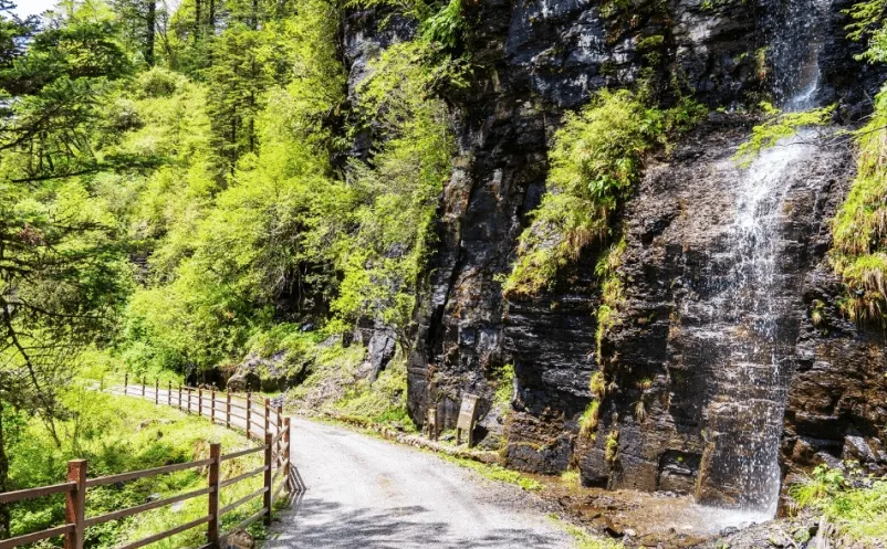 1654850044543900.png image.png