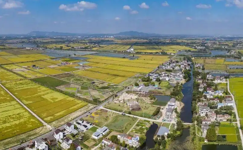 推進(jìn)鄉(xiāng)村振興和城鄉(xiāng)融合發(fā)展面臨的主要問題與對策建議