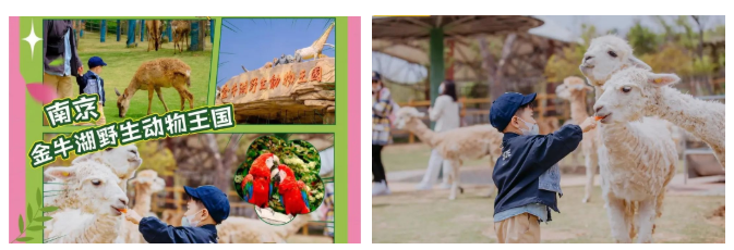 “次新”景區(qū)借互聯(lián)網(wǎng)引客源滾滾來，挖掘游客真需求讓銷量節(jié)節(jié)高 