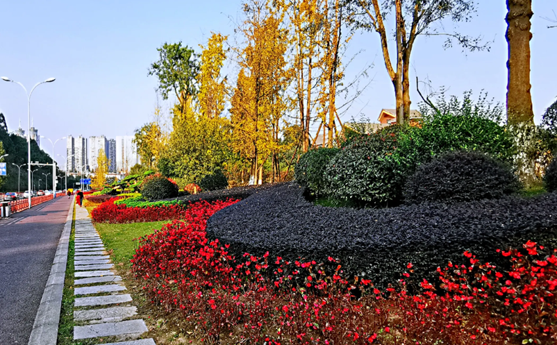 嘉州綠心公園觀光車票務(wù)管理系統(tǒng)