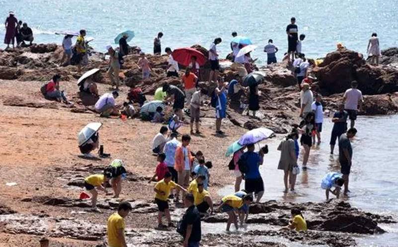 1658126298892695.png image.png