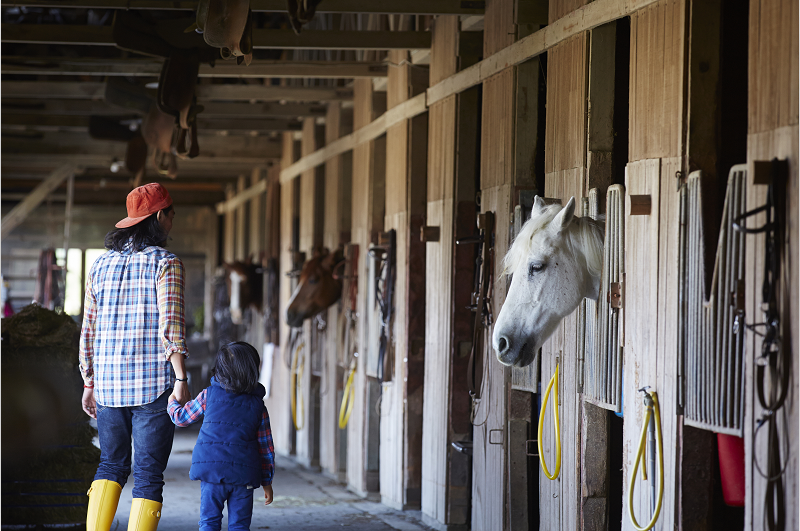 親子經(jīng)濟(jì)時(shí)代，10招助親子農(nóng)場(chǎng)脫穎而出 