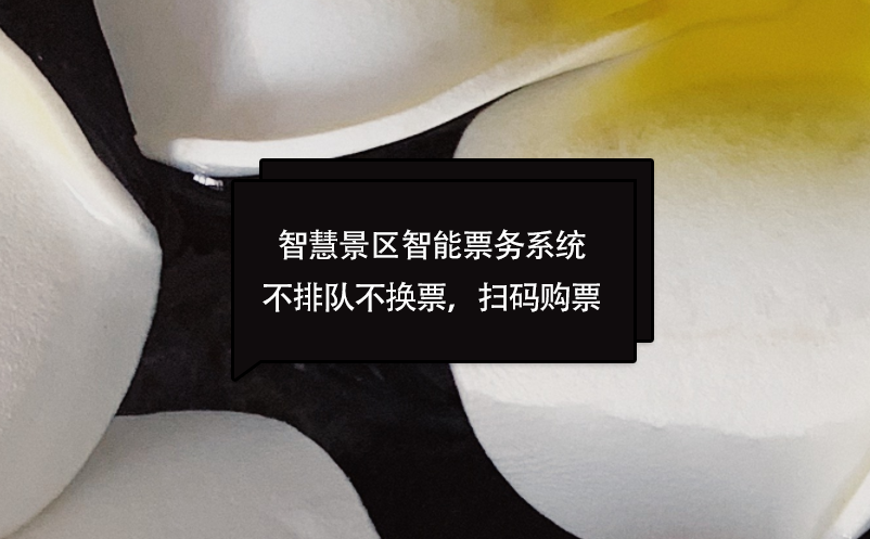 智慧景區(qū)智能票務(wù)系統(tǒng)不排隊(duì)不換票，掃碼購(gòu)票