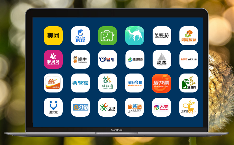 旅游景區(qū)電子售票系統(tǒng)