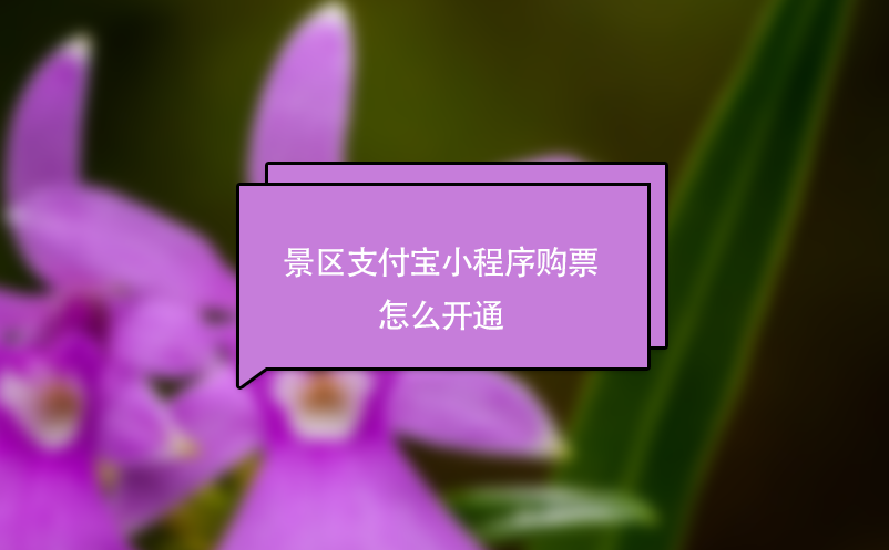 景區(qū)支付寶小程序購(gòu)票怎么開(kāi)通？